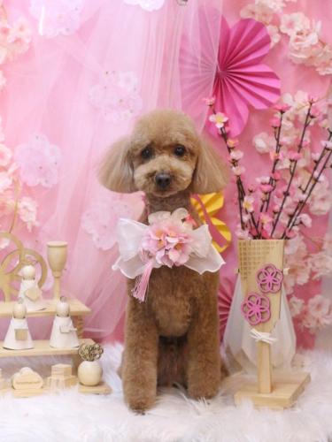 20250305カイくん